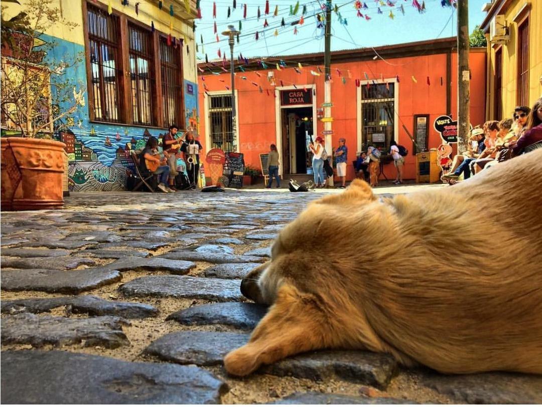 Casa Nomade Hotel Boutique Valparaíso Eksteriør billede